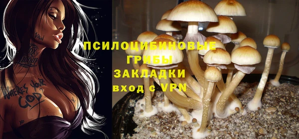 прущая мука Кулебаки