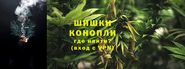 твердый Ладушкин