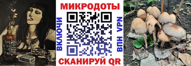 Псилоцибиновые грибы мухоморы  blacksprut зеркало  Темрюк 