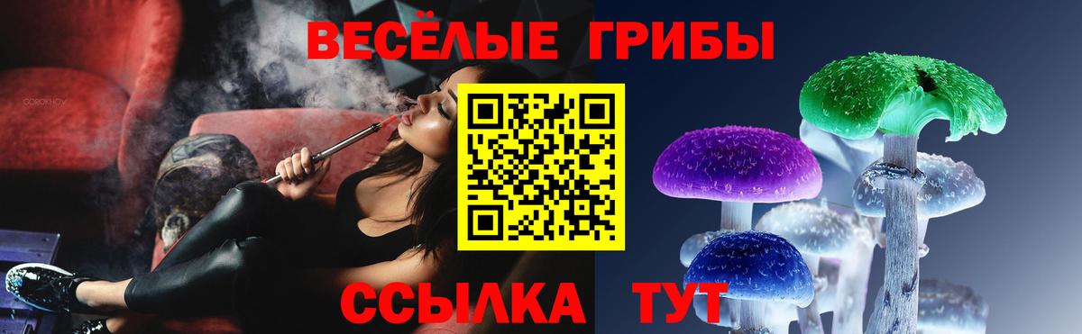 Темрюк  Галлюциногенные грибы Psilocybe  Галлюциногенные грибы MAGIC MUSHROOMS  Вход с VPN 